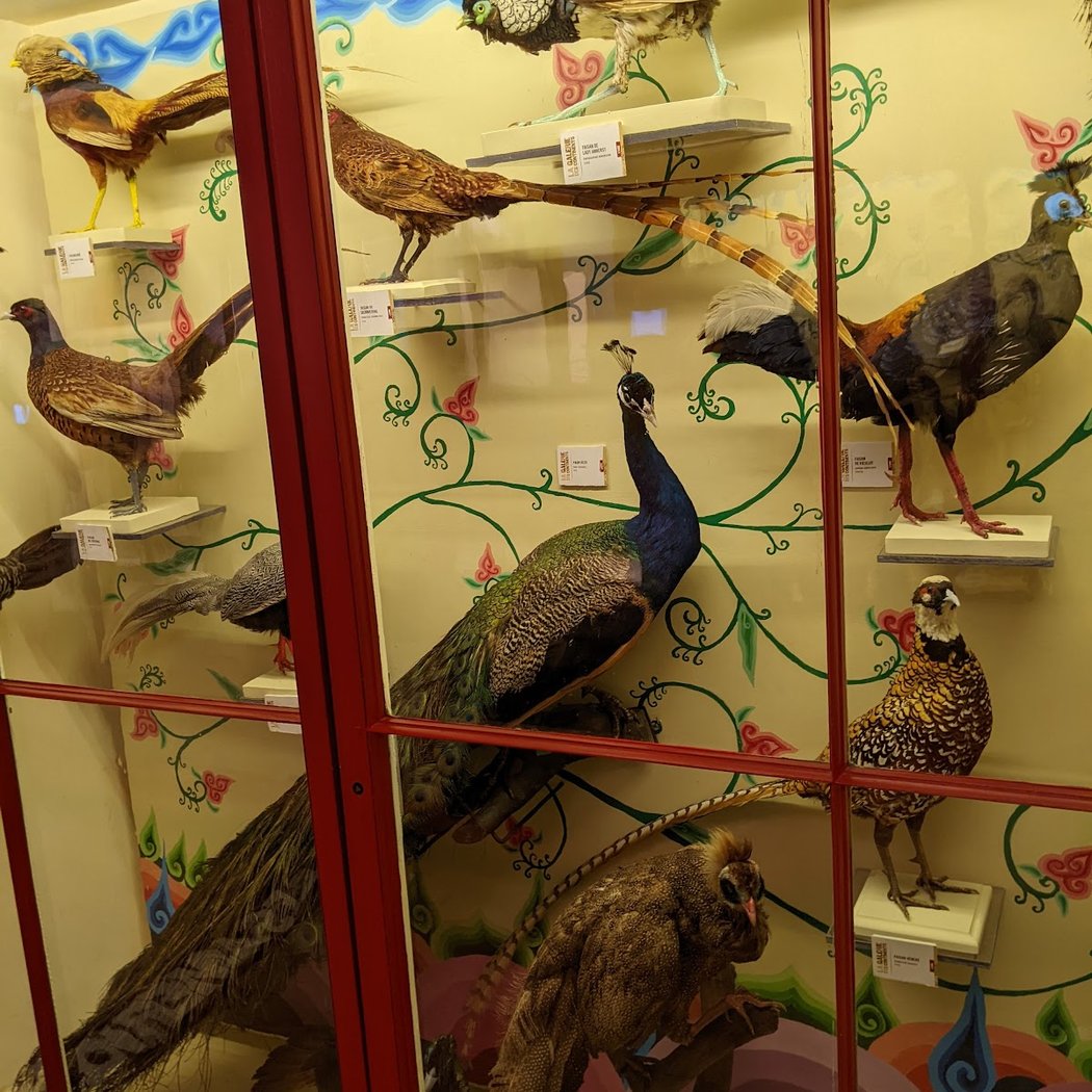 Natural History Museum 3